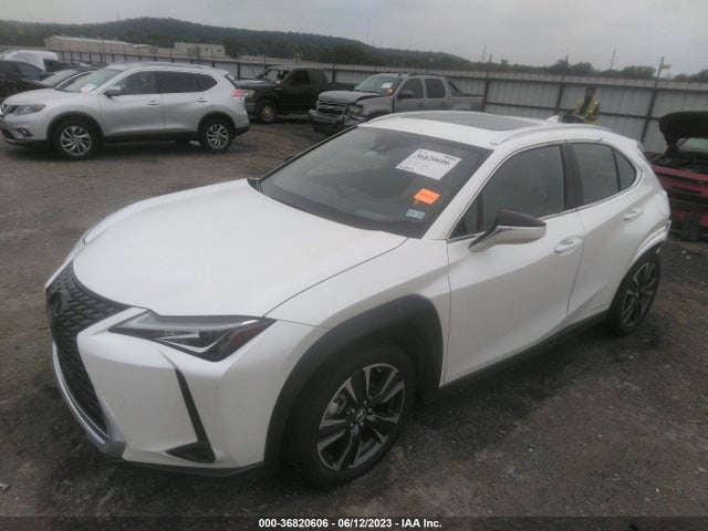 2020 Lexus UX, VIN: JTHL9JBH1L2025797