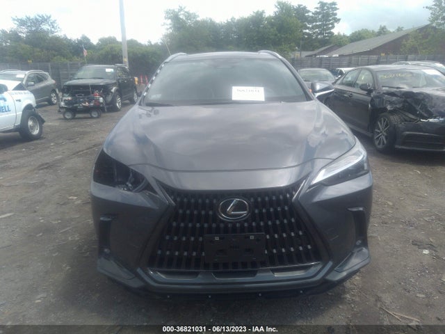 2023 Lexus NX, VIN: 2T2GGCEZ1PC024872