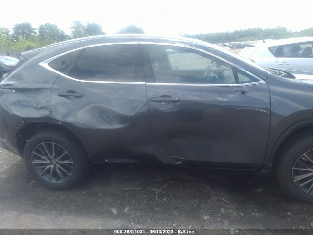 2023 Lexus NX, VIN: 2T2GGCEZ1PC024872