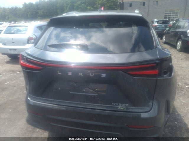 2023 Lexus NX, VIN: 2T2GGCEZ1PC024872