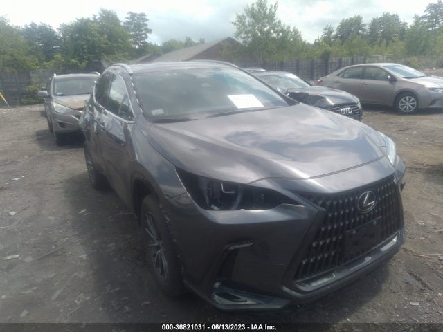 2023 Lexus NX, VIN: 2T2GGCEZ1PC024872