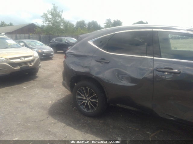 2023 Lexus NX, VIN: 2T2GGCEZ1PC024872