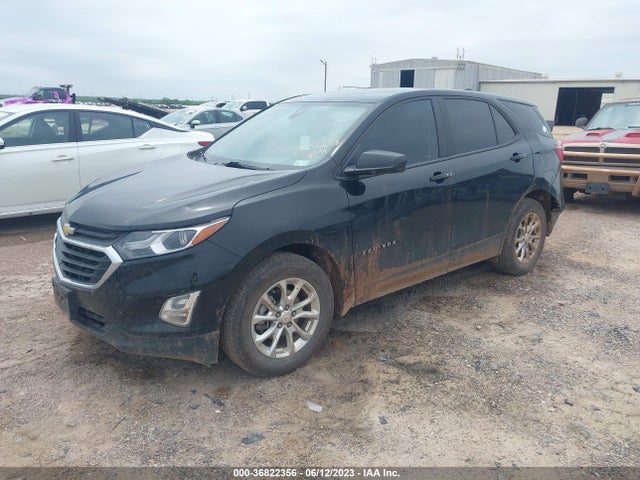 Chevrolet EQUINOX LS 2020 2GNAXHEV6L6280819 Image 2