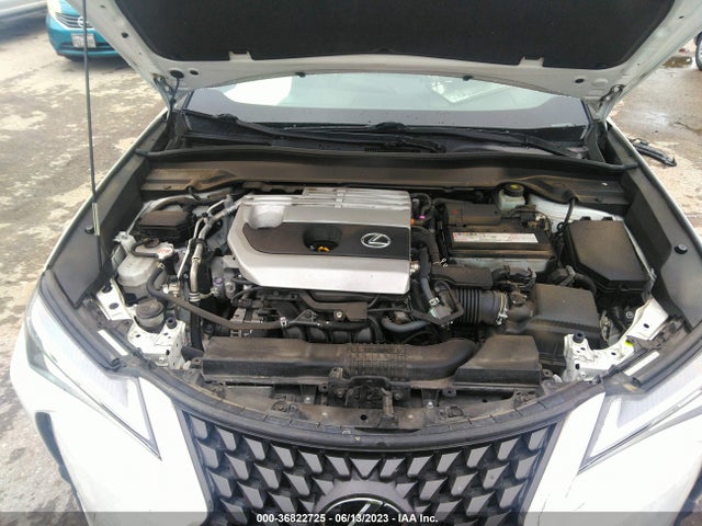 2020 Lexus UX, VIN: JTHX3JBHXL2025171
