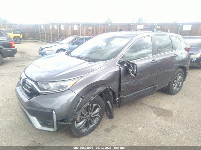 2020 HONDA CR-V EX VIN: 5J6RW1H56LL014431