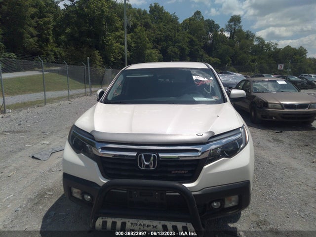Honda Ridgeline Sport 2019 5FPYK3F17KB030641 Image 12
