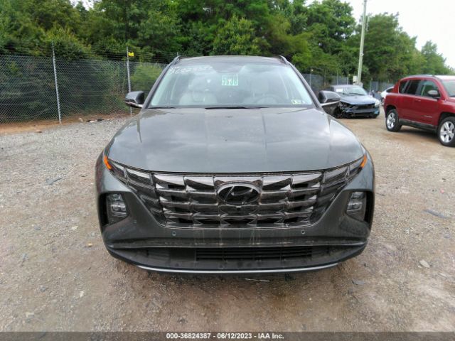 5NMJECAEXPH172225 Hyundai Tucson Limited
