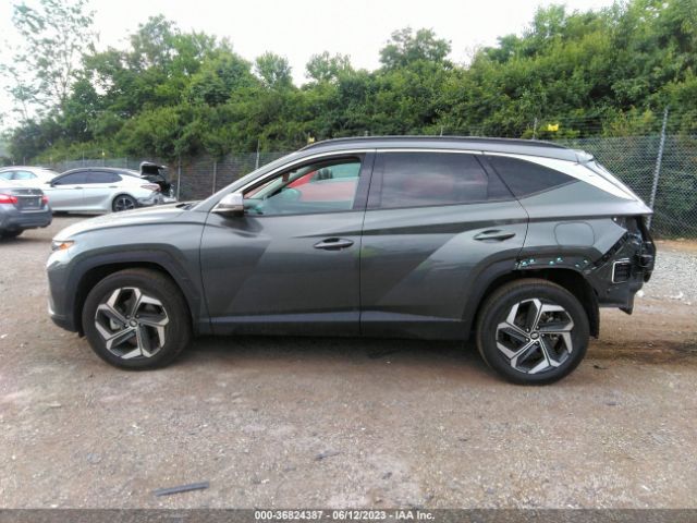 5NMJECAEXPH172225 Hyundai Tucson Limited