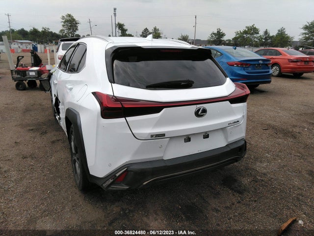 2019 Lexus UX, VIN: JTHU9JBHXK2003977