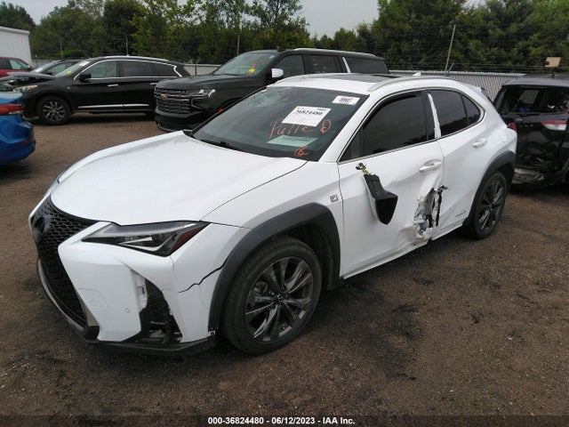 2019 Lexus UX, VIN: JTHU9JBHXK2003977