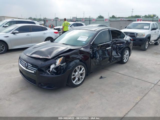 1N4AA5AP1EC438824 Nissan Maxima 3.5 Sv W/premium Pkg