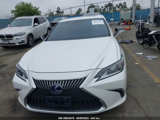 2020 Lexus ES, VIN: 58AC21B19LU007159