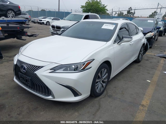 2020 Lexus ES, VIN: 58AC21B19LU007159