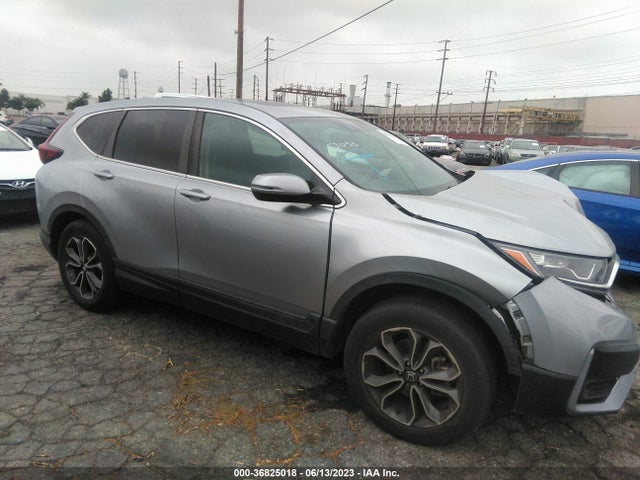Honda Cr-v Ex-l 2020 2HKRW1H87LH428497 Image 5