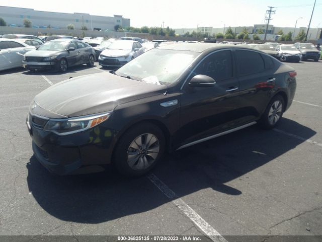KNAGT4LC1H5007523 KIA Optima Hybrid Base