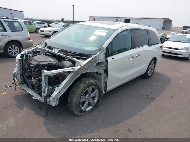 Honda Odyssey Ex-l 2019 5FNRL6H7XKB056969 Image 2