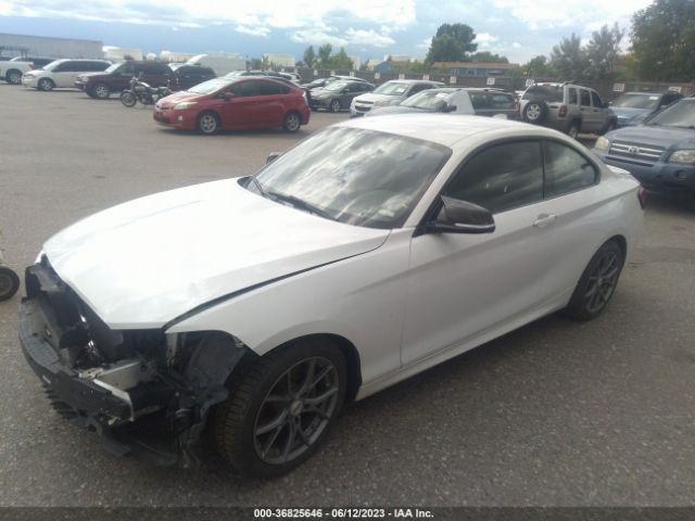 WBA1F5C56FV257194 BMW 2 Series 228i