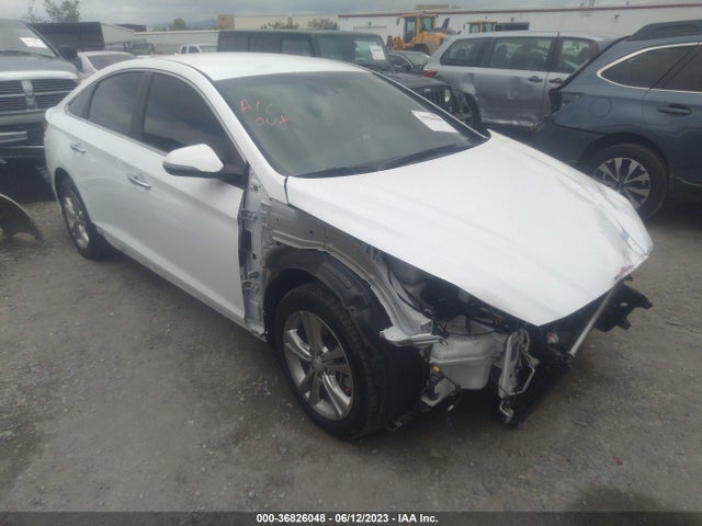 2019 5NPE34AFXKH765648 main image