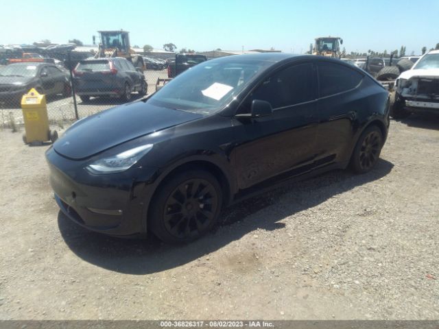 7SAYGDEE9NF341516 Tesla Model Y Long Range
