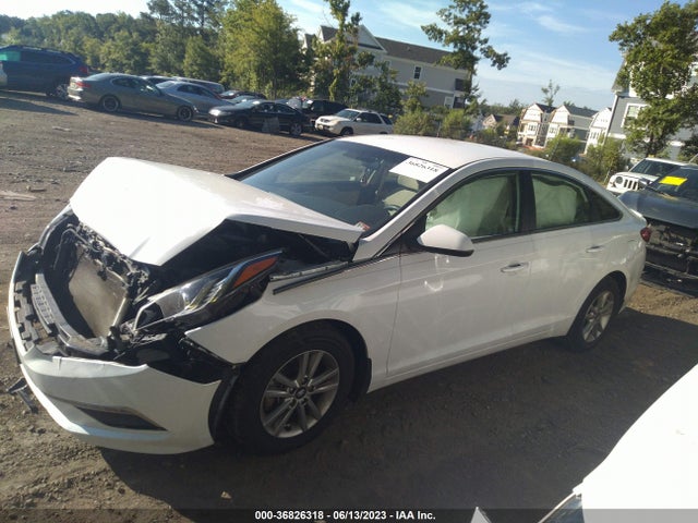 2015 HYUNDAI SONATA 2.4L SE VIN: 5NPE24AF7FH095050