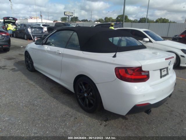 2017 BMW 2 SERIES WBA2L1C38HV666370 Photo 2