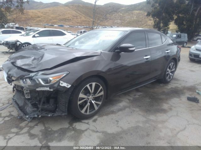 1N4AA6AP0HC371868 Nissan MAXIMA SV