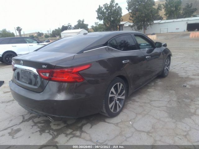 1N4AA6AP0HC371868 Nissan MAXIMA SV