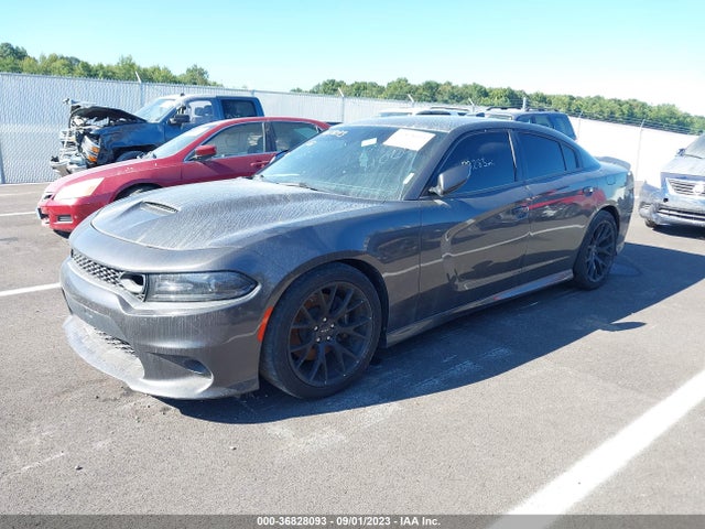 2019 DODGE CHARGER SCAT PACK RWD VIN: 2C3CDXGJ9KH623970
