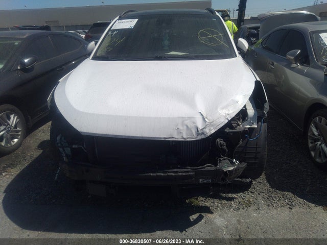 Hyundai Tucson Limited 2017 KM8J33A21HU590433 Image 5