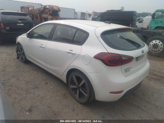 KIA Forte5 Ex 2017 KNAFX5A80H5725973 Image 3
