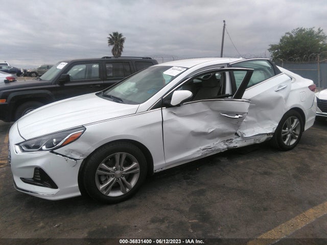 Hyundai SONATA SEL 2018 5NPE34AFXJH602254 Image 12