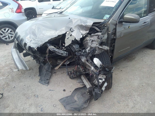 1C4PJLDB1GW320248 Jeep Cherokee Limited
