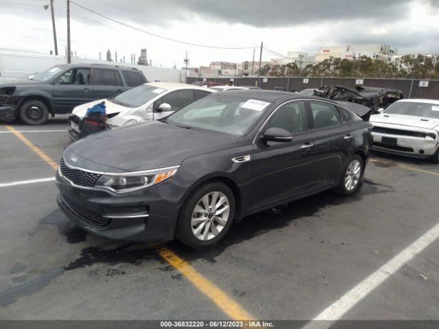 5XXGU4L30GG022427 KIA OPTIMA EX