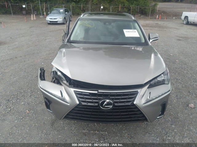 2019 Lexus NX, VIN: JTJBARBZ5K2199671