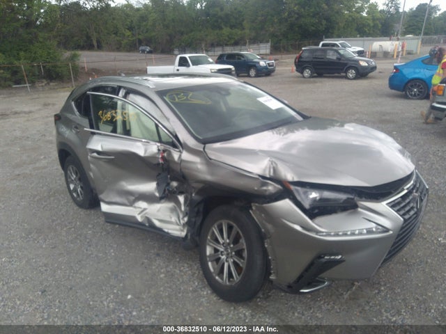 2019 Lexus NX, VIN: JTJBARBZ5K2199671