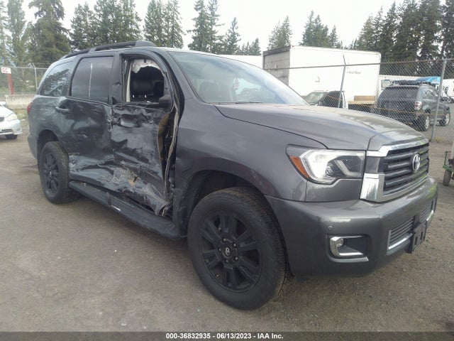 2019 Toyota Sequoia, VIN: 5TDBY5G12KS168459