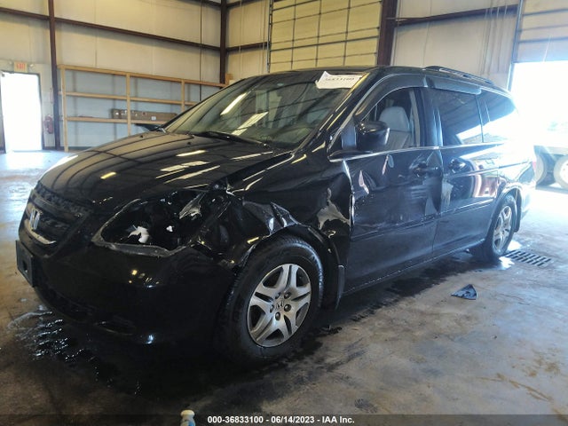 2007 HONDA ODYSSEY EX-L VIN: 5FNRL38707B033111