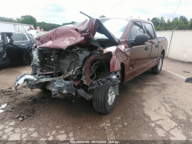 1FTEW1CP7GKE32988 Ford F-150 Xl/lariat/xlt