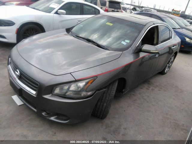 1N4AA5AP1EC496867 Nissan Maxima 3.5 Sv W/sport Pkg