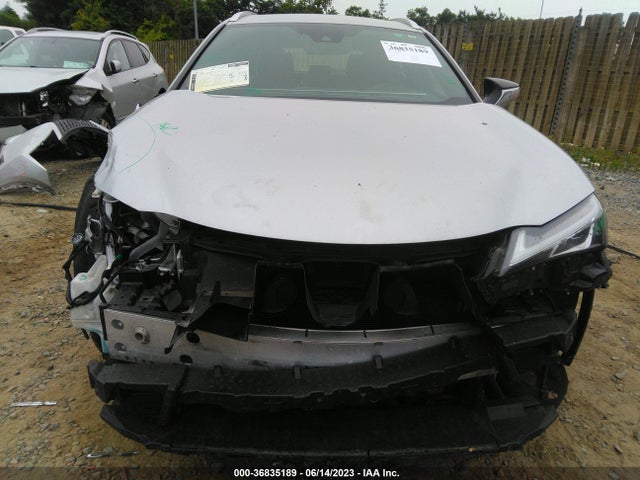2019 Lexus UX, VIN: JTHY3JBH2K2005242