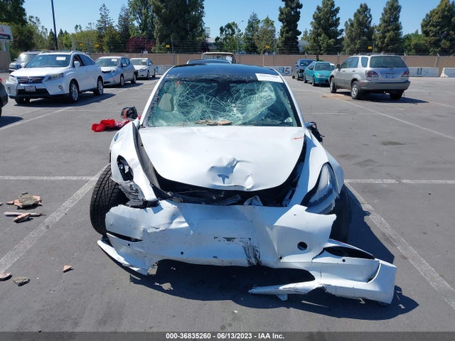 Tesla Model 3 Long Range/performance 2019 5YJ3E1EB0KF511436 Image 11