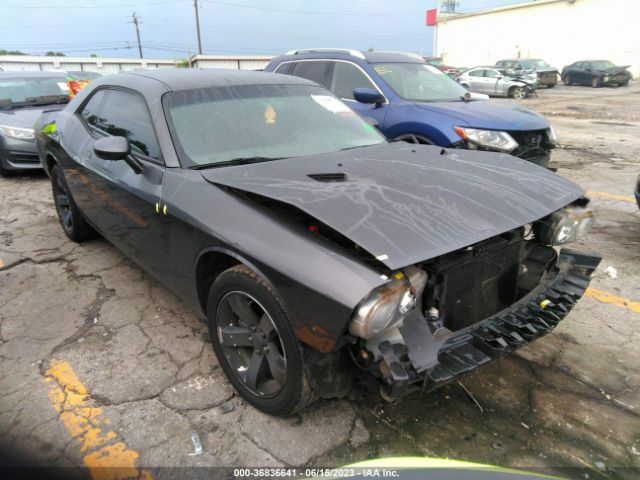 2C3CDYAG1EH249877 auction archive image
