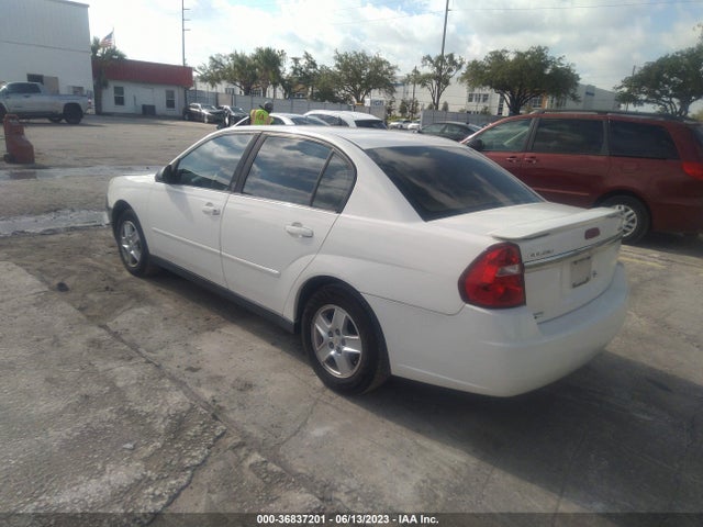 2004 CHEVROLET MALIBU LS VIN: 1G1ZT54834F118969