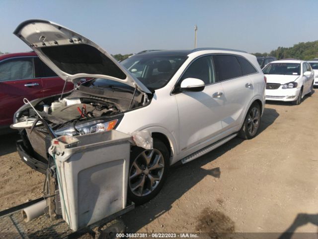 5XYPKDA55HG316431 KIA Sorento Sx V6