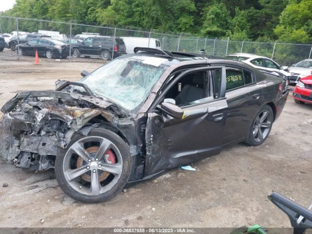 2C3CDXCT3FH902571 Dodge Charger Rt
