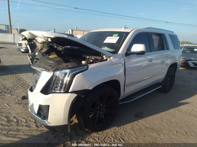 1GYS3BKJ2KR243819 Cadillac Escalade Luxury