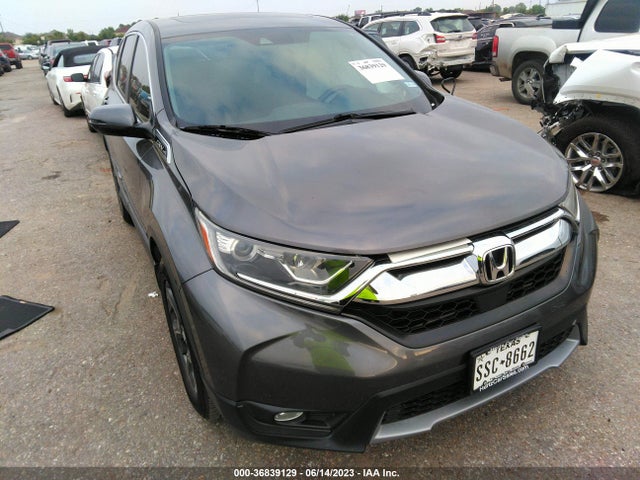 2019 5J6RW1H56KA036648 main image