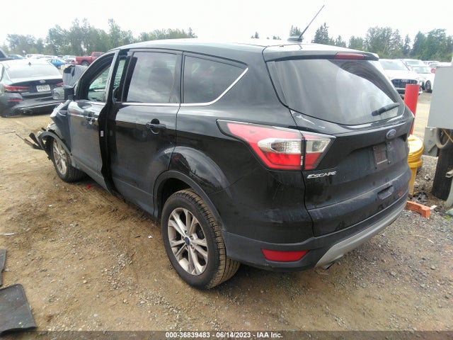 Ford ESCAPE SE 2017 1FMCU9G90HUA39682 Image 4
