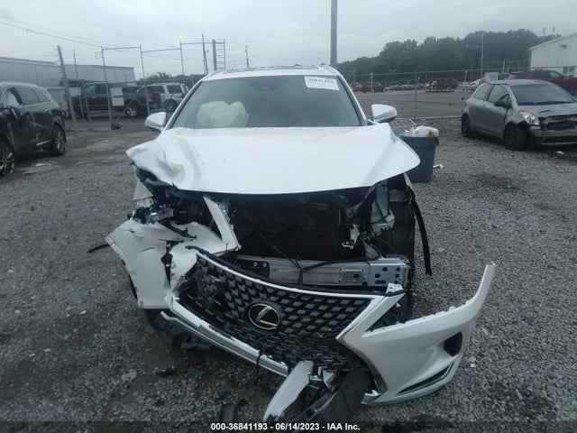2021 Lexus RX, VIN: JTJHZKEAXM2021273