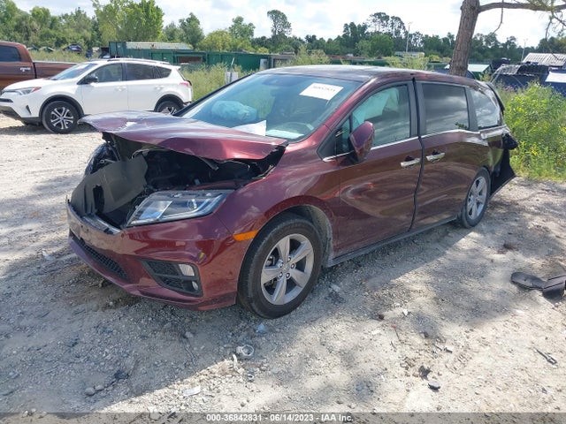 Honda Odyssey Ex-l 2019 5FNRL6H73KB074696 Image 2